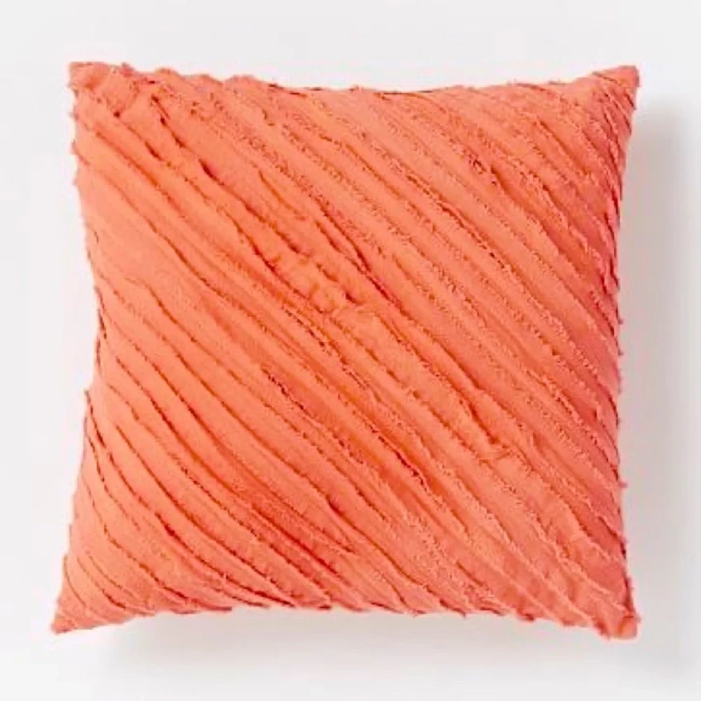West Elm Diagonal Frayed Pillows (2)